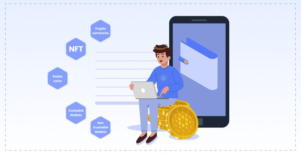 Understanding Wallet Types and Asset Support